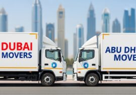 movers in dubai